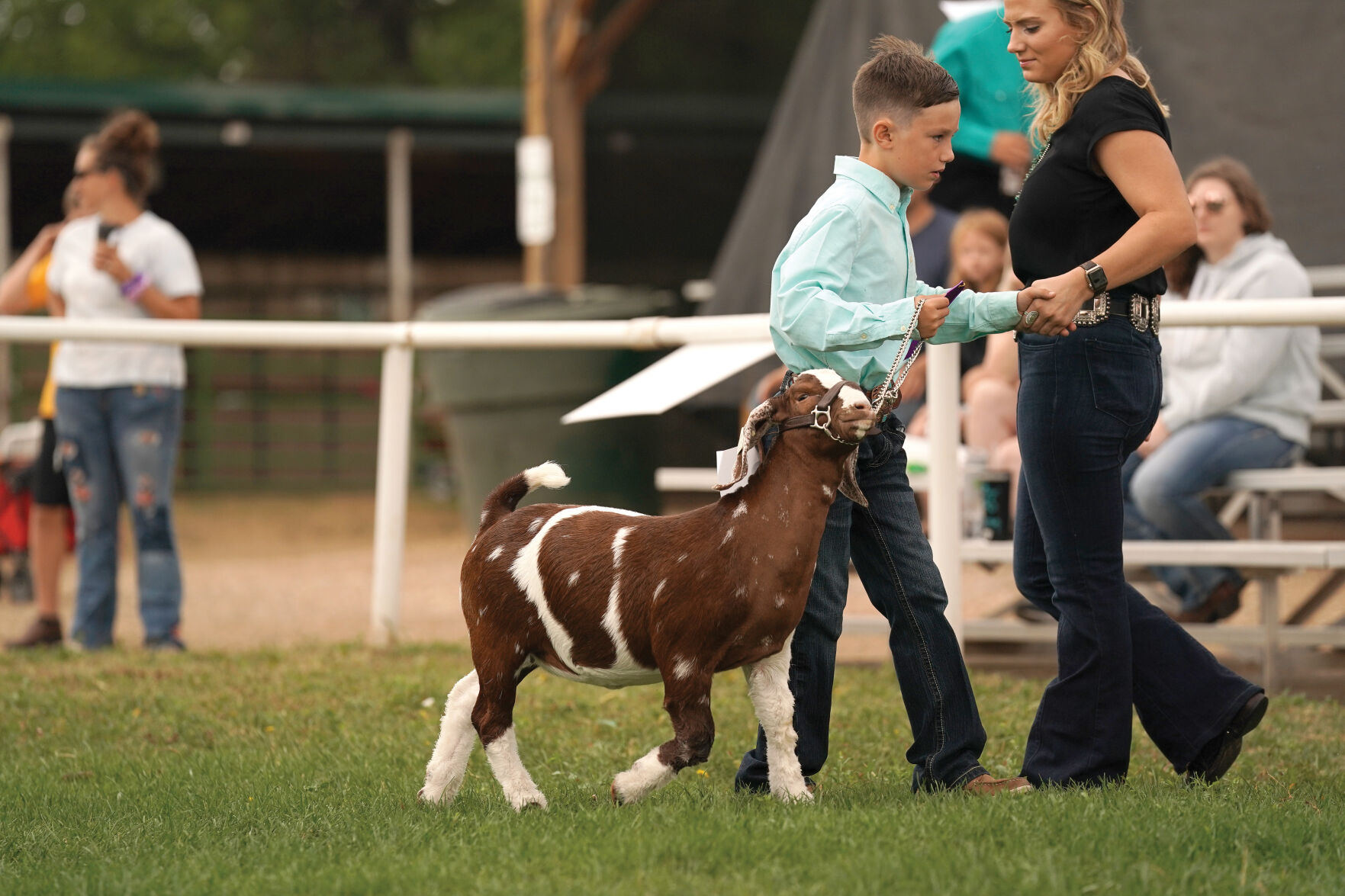 Goat Show Standalones 004.jpg